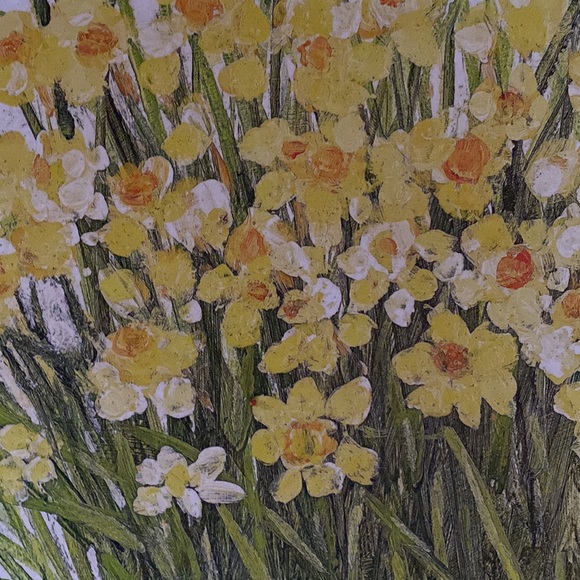 Flag Fables Daffodil - Picture 2 of 5